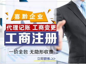 專業(yè)企業(yè)服務代理 一站式工商財稅解決方案